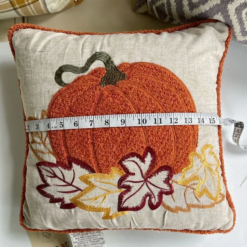 Secret Celebrity | Natural Autumn Pumpkin Throw Pillow NWT